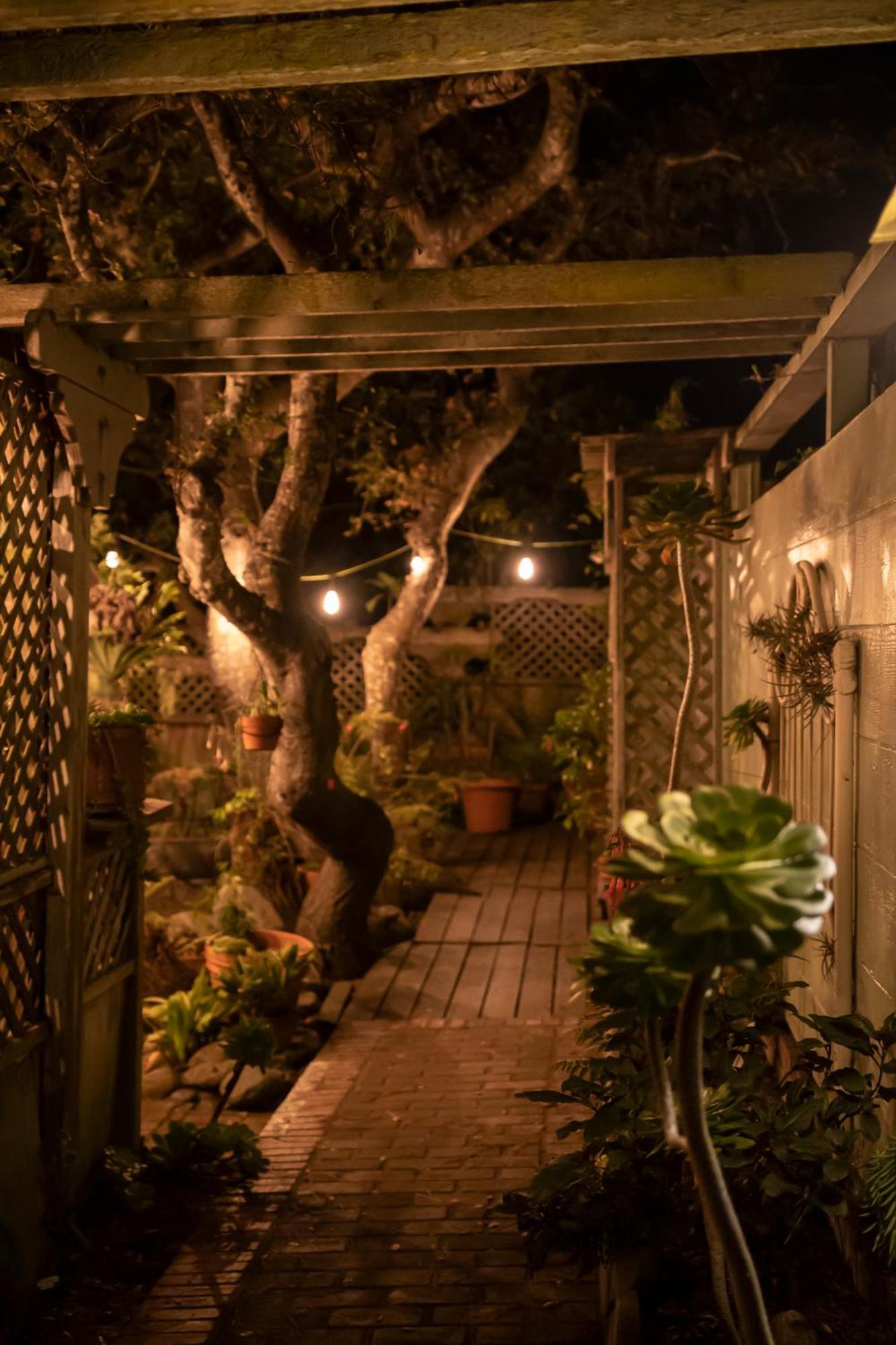 Carmel Garden Inn מראה חיצוני תמונה