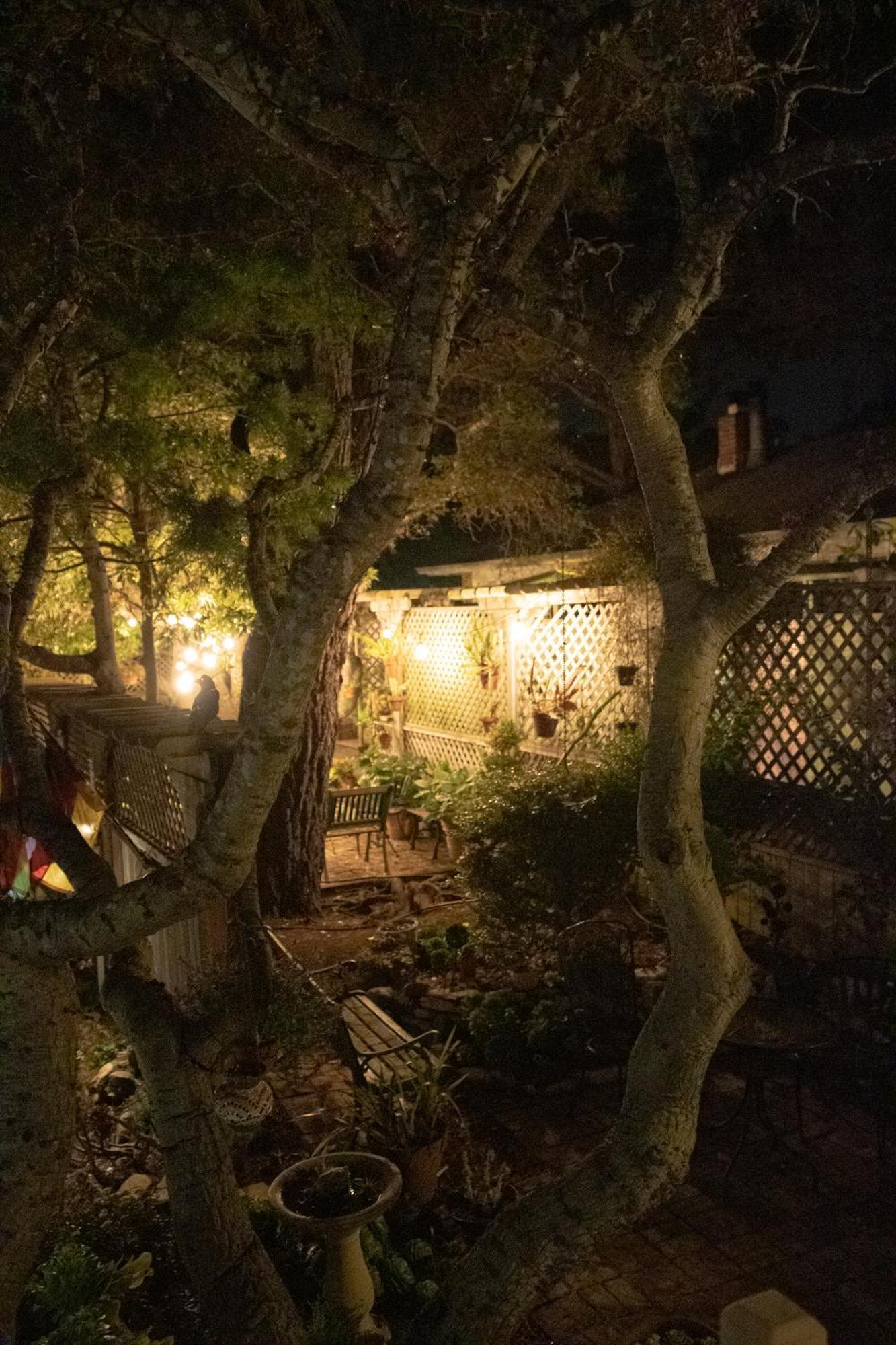 Carmel Garden Inn מראה חיצוני תמונה