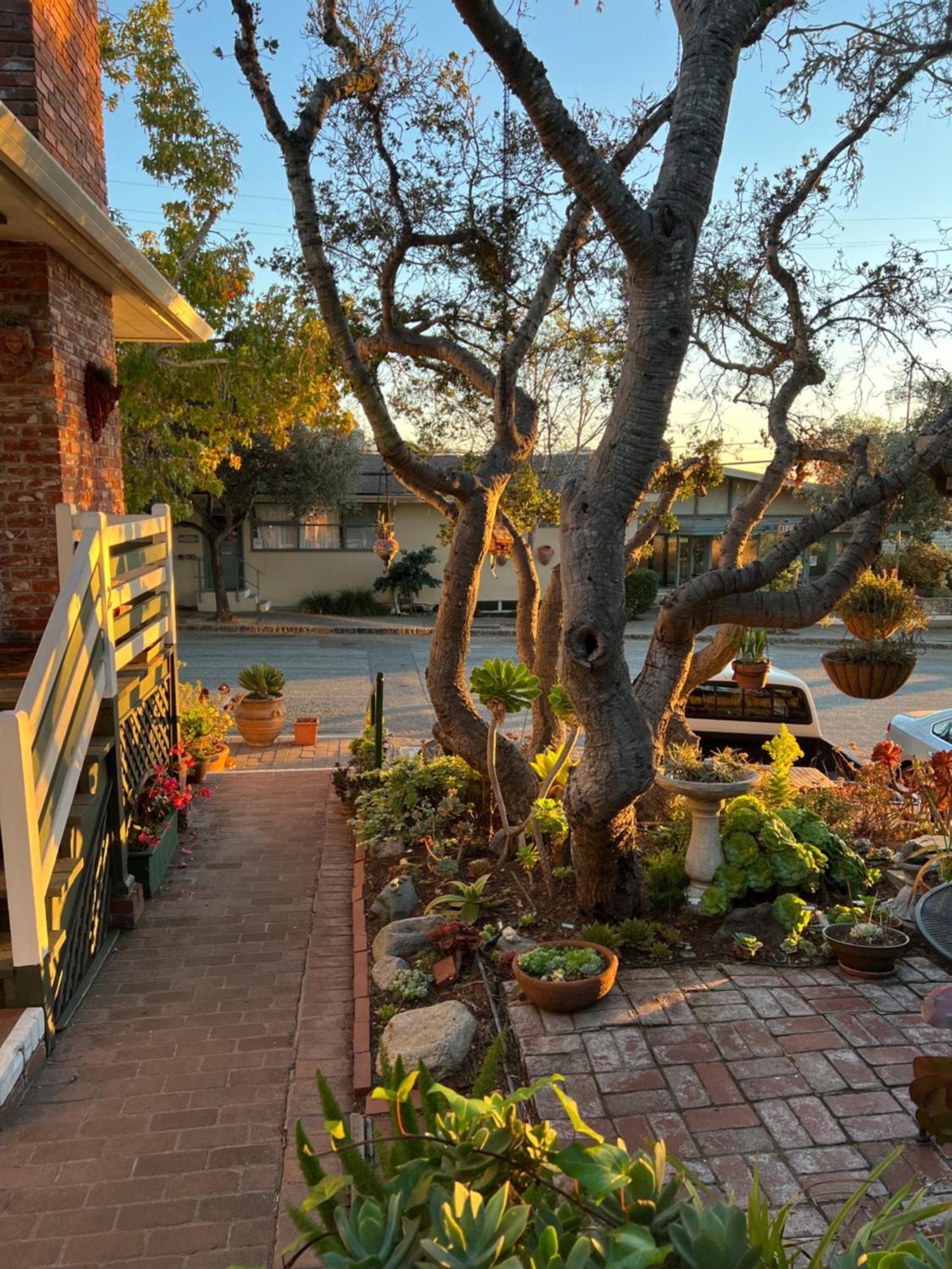 Carmel Garden Inn מראה חיצוני תמונה